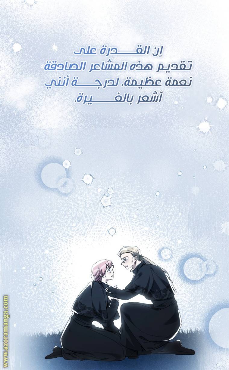 الصفحة 21