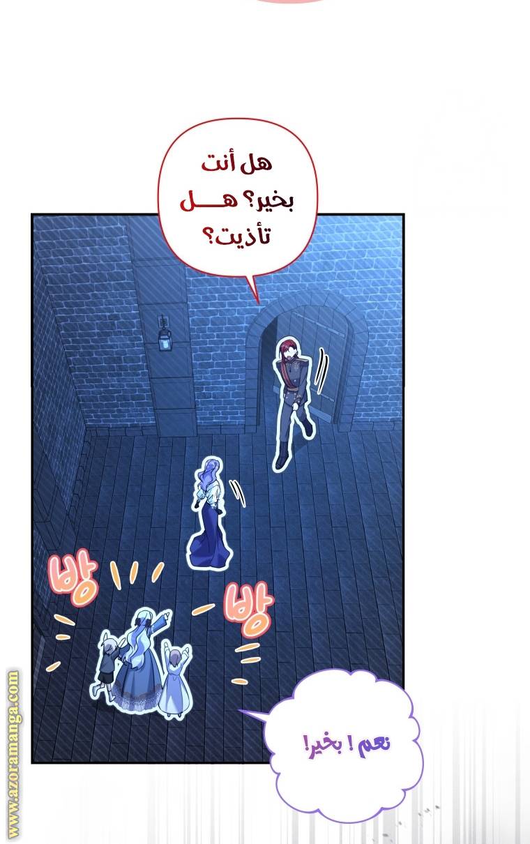 الصفحة 25