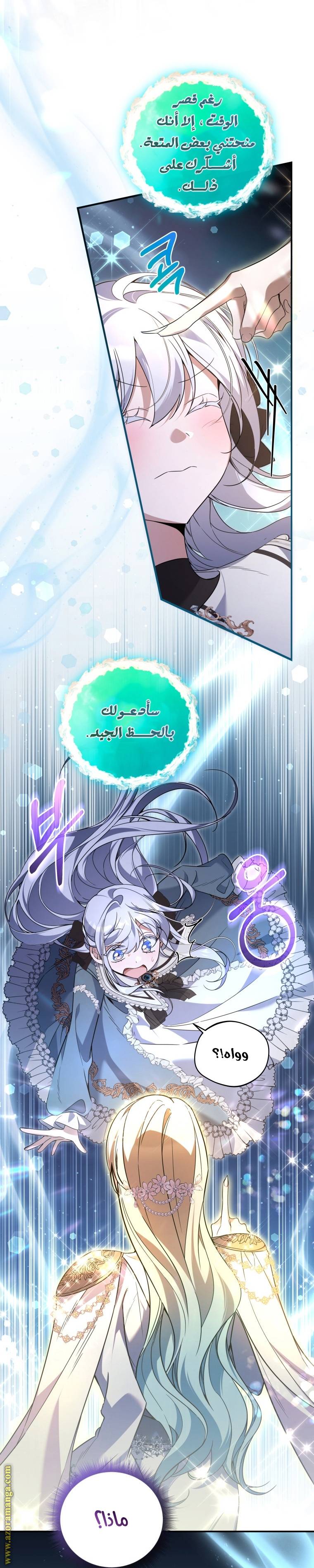 الصفحة 43
