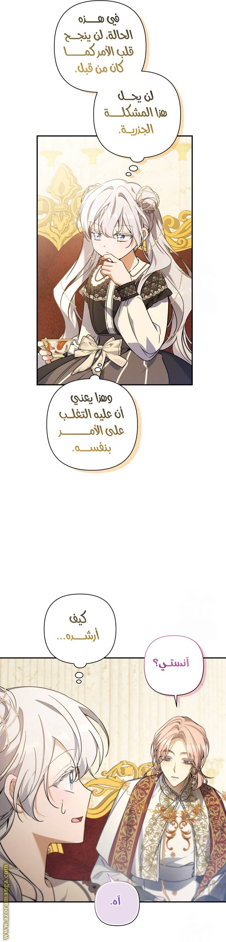 الصفحة 17