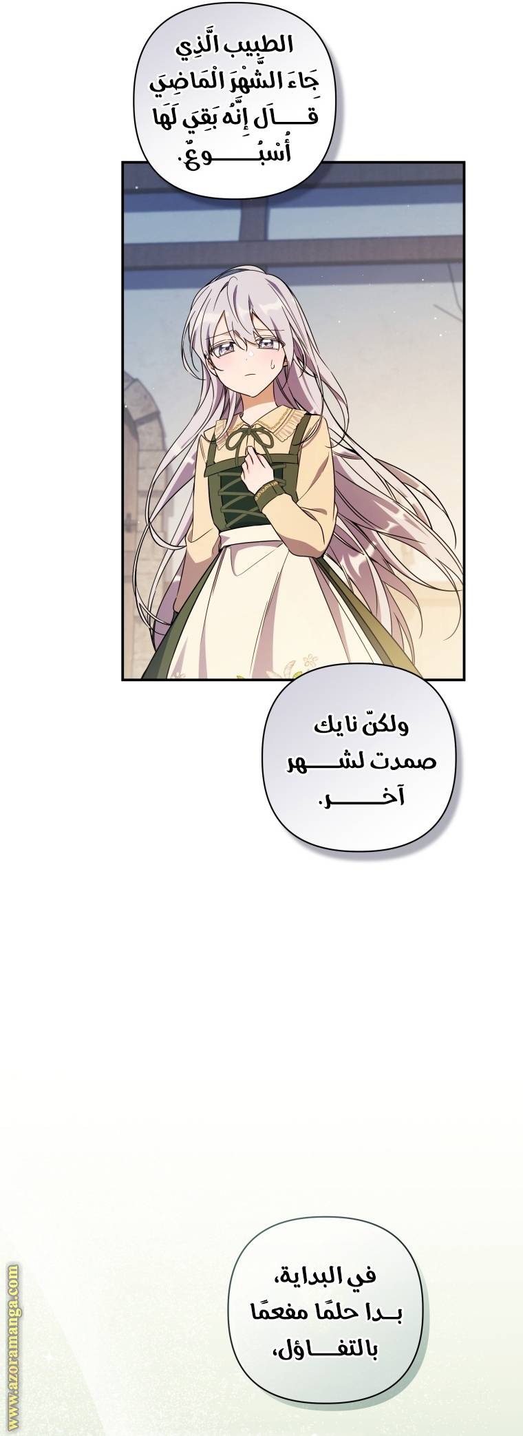 الصفحة 17