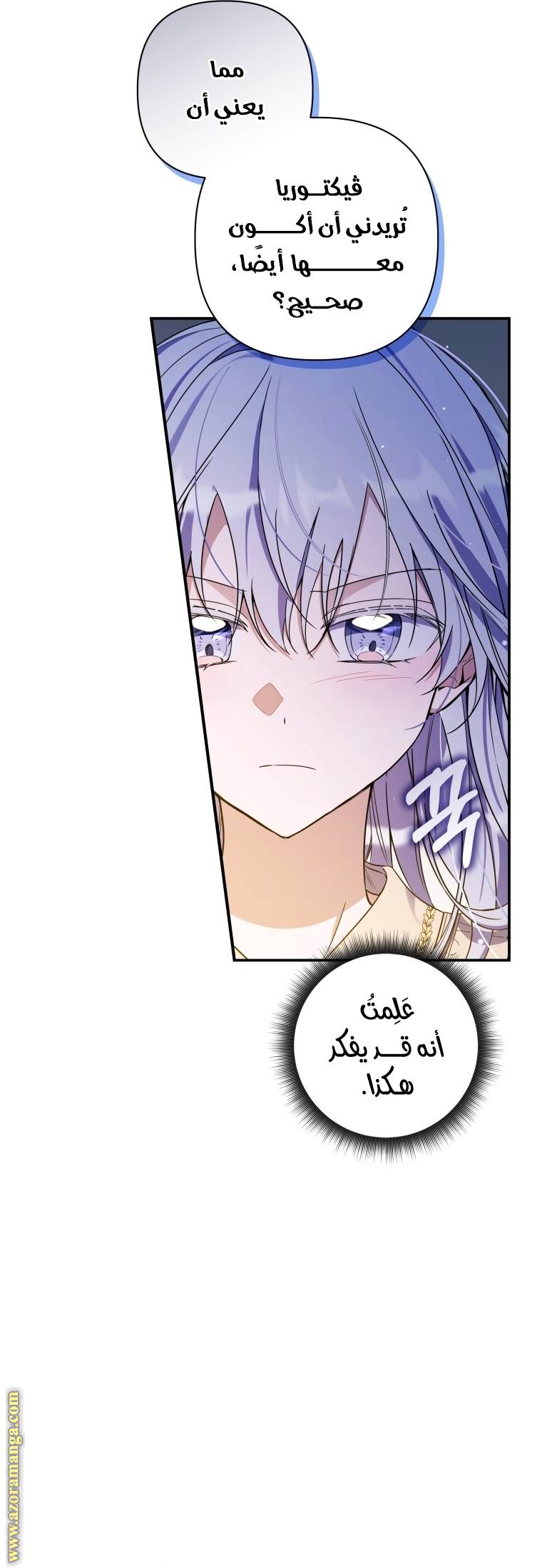 الصفحة 40