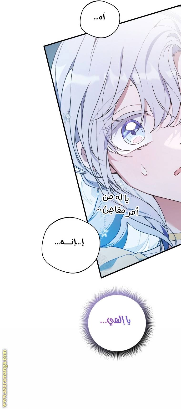 الصفحة 49