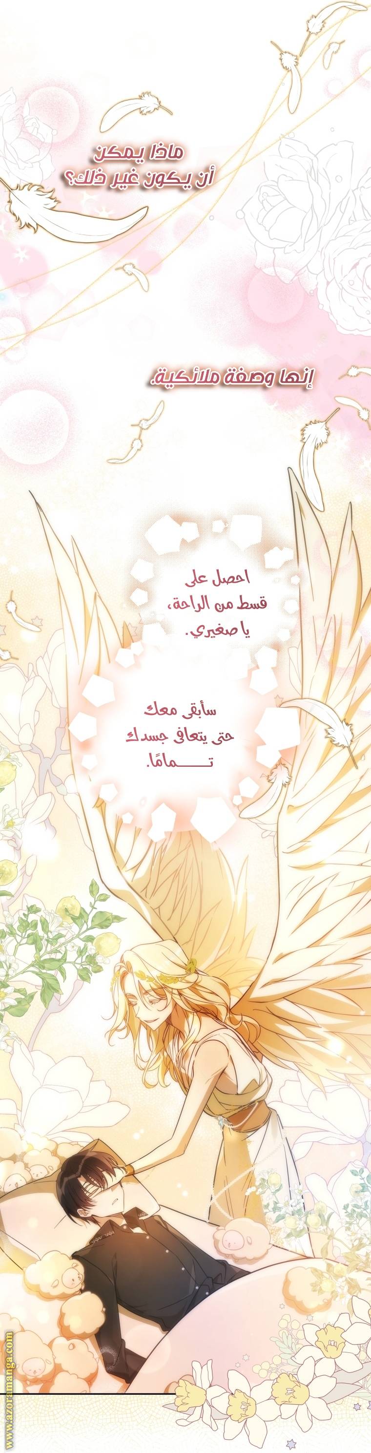 الصفحة 7