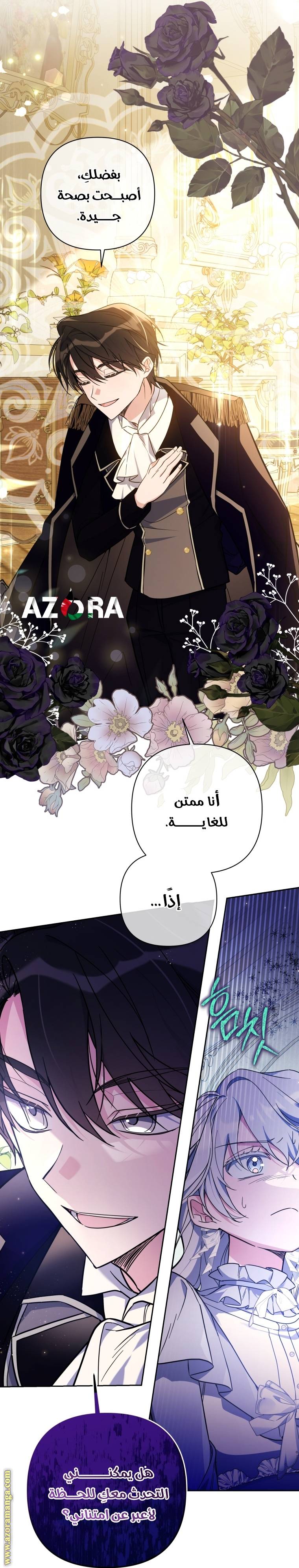 الصفحة 27