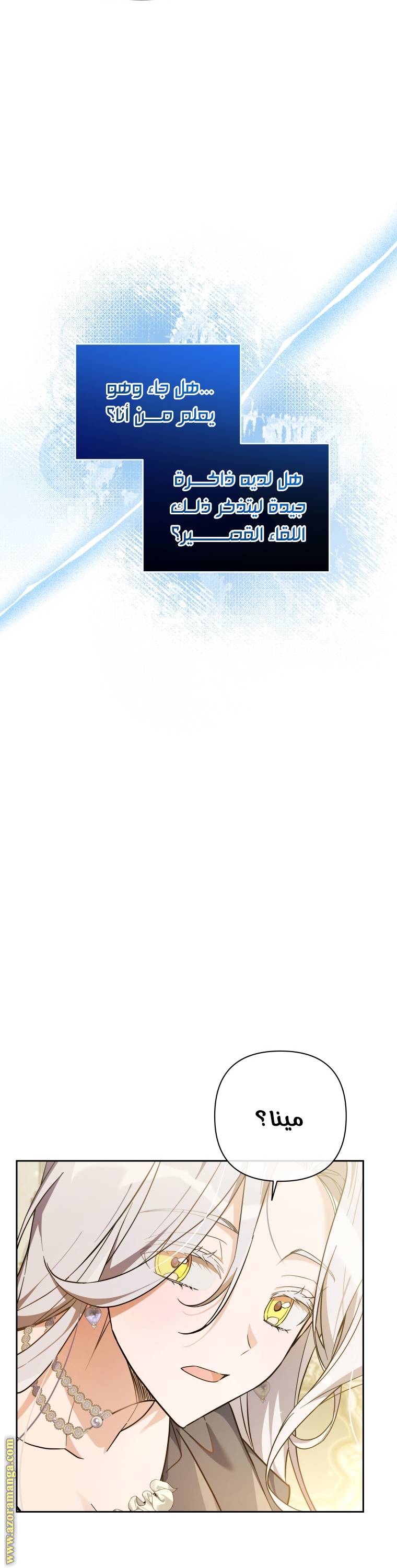 الصفحة 28