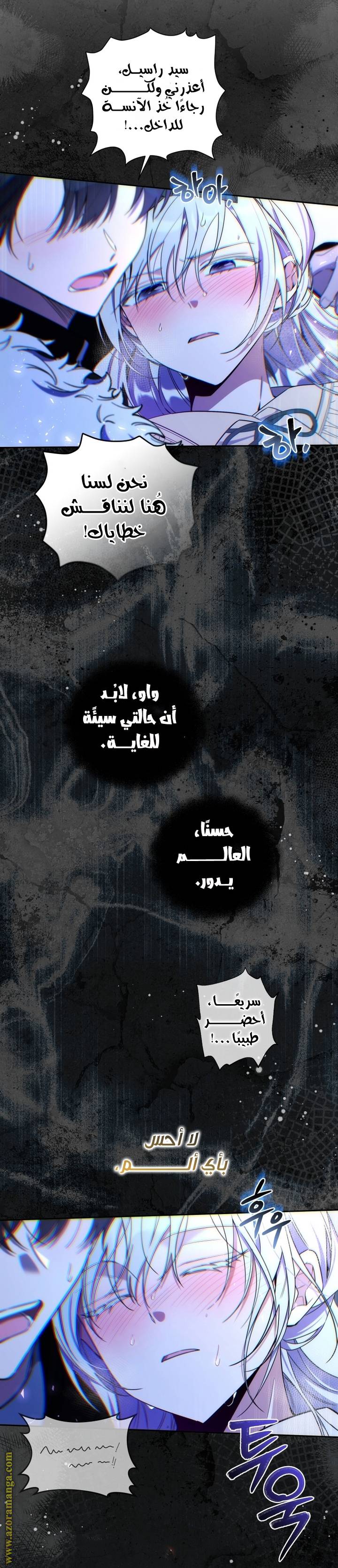 الصفحة 19