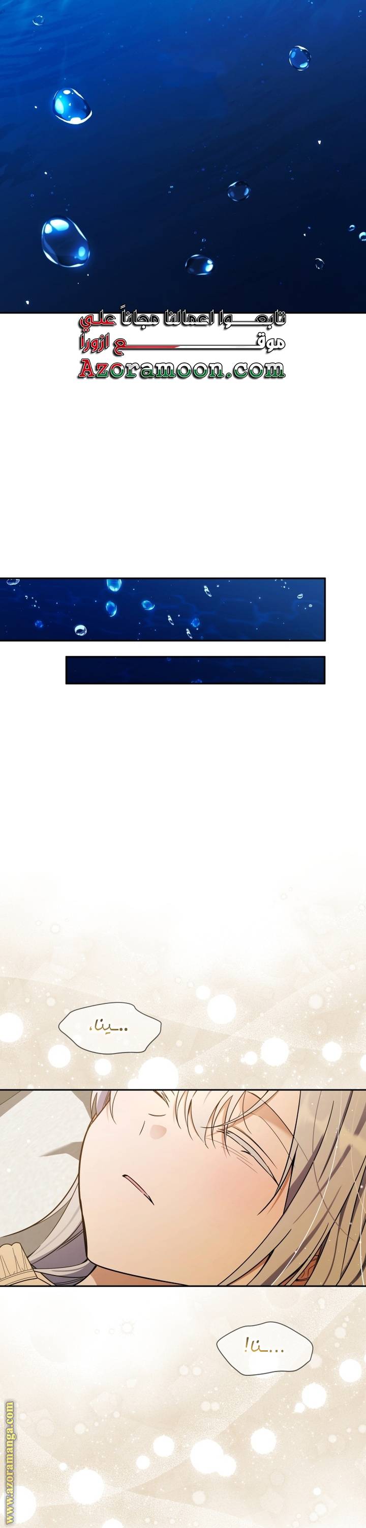 الصفحة 43