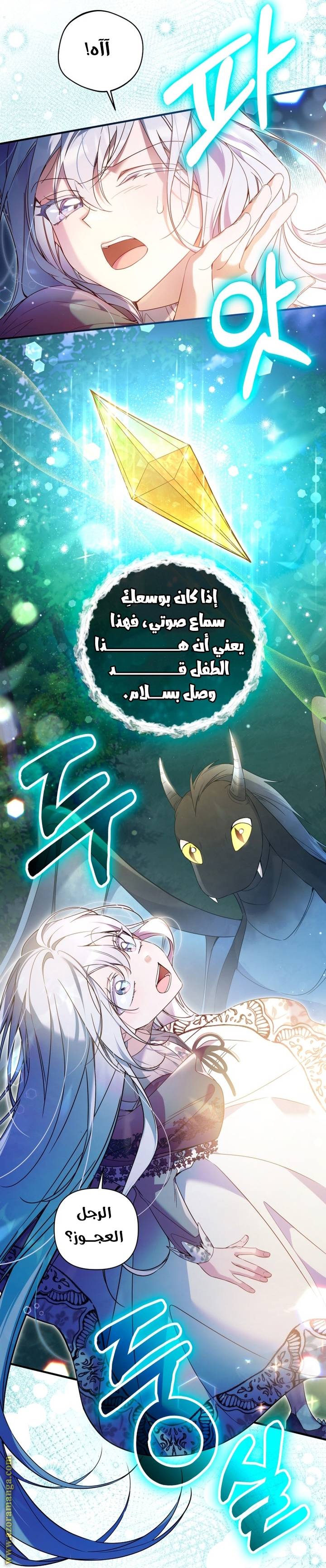 الصفحة 13