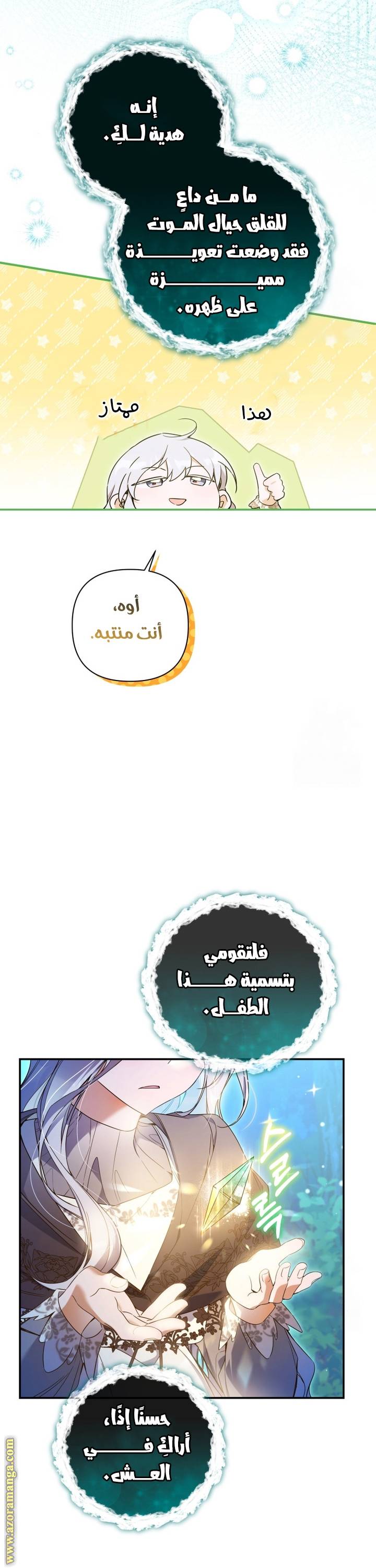 الصفحة 14