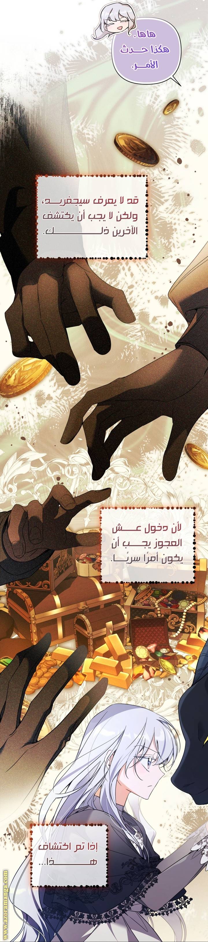 الصفحة 17