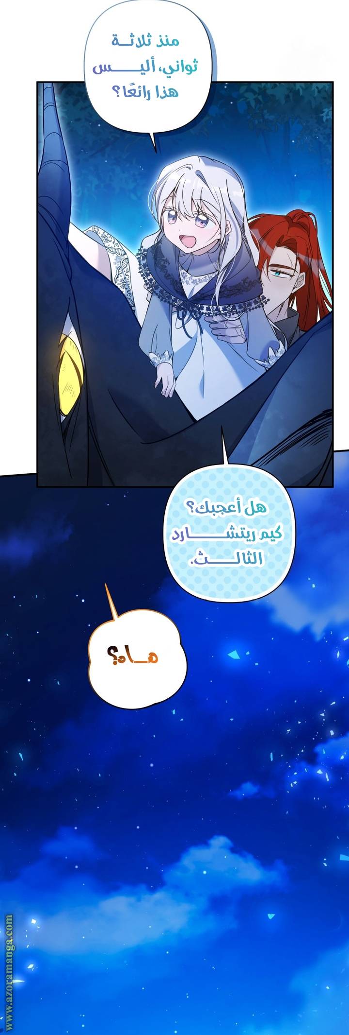 الصفحة 40
