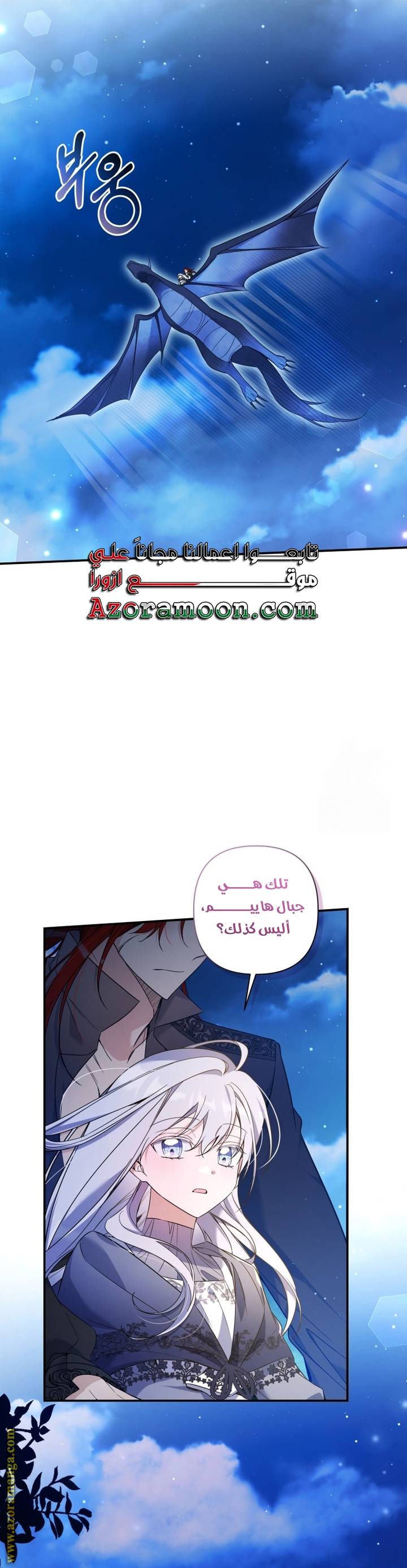 الصفحة 43