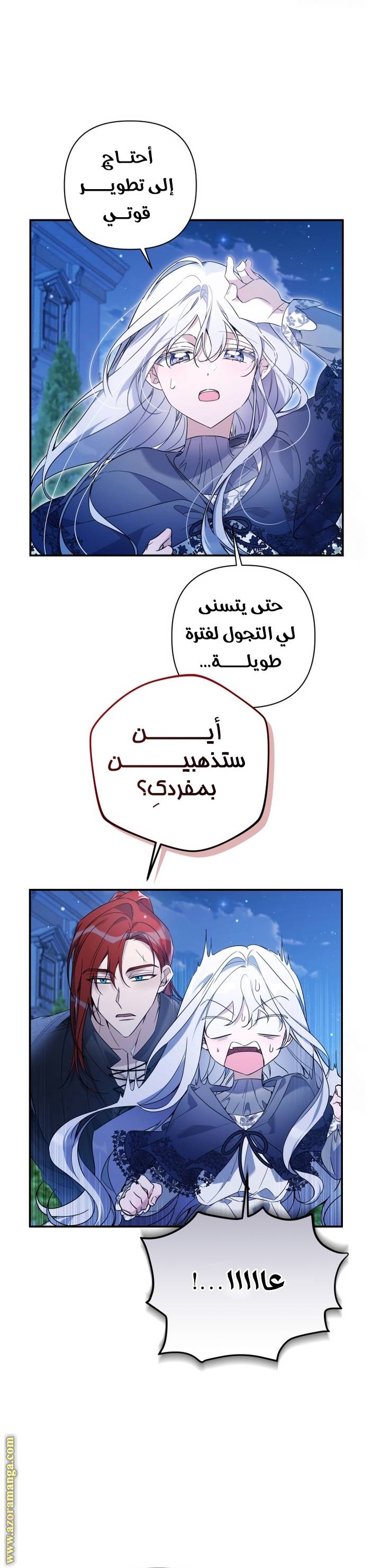 الصفحة 41