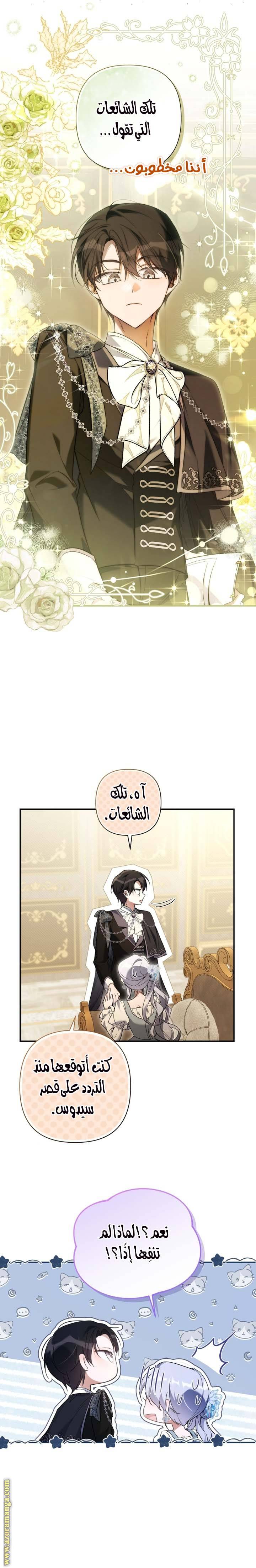 الصفحة 19