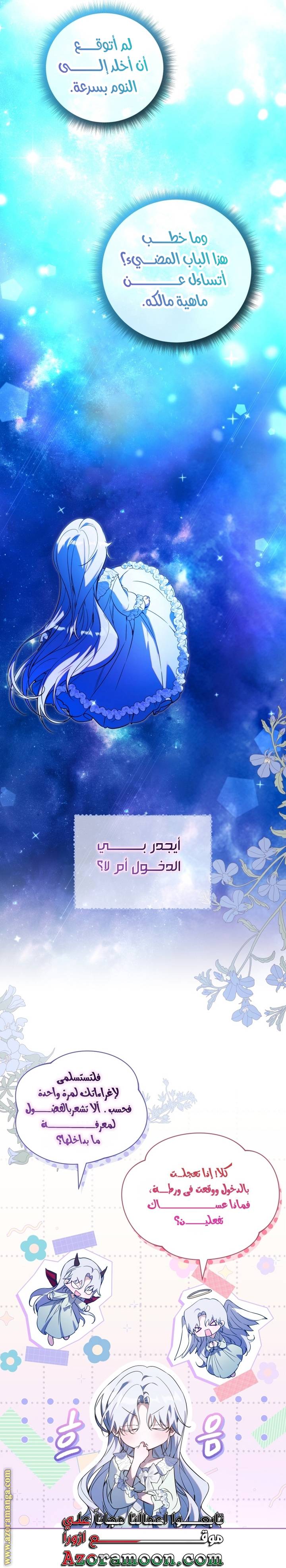 الصفحة 17