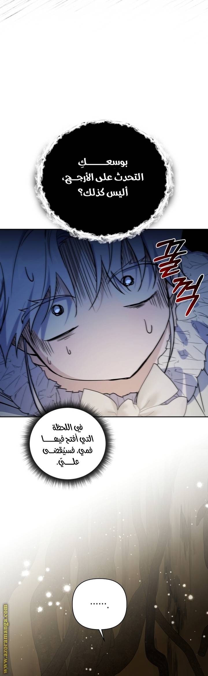 الصفحة 29