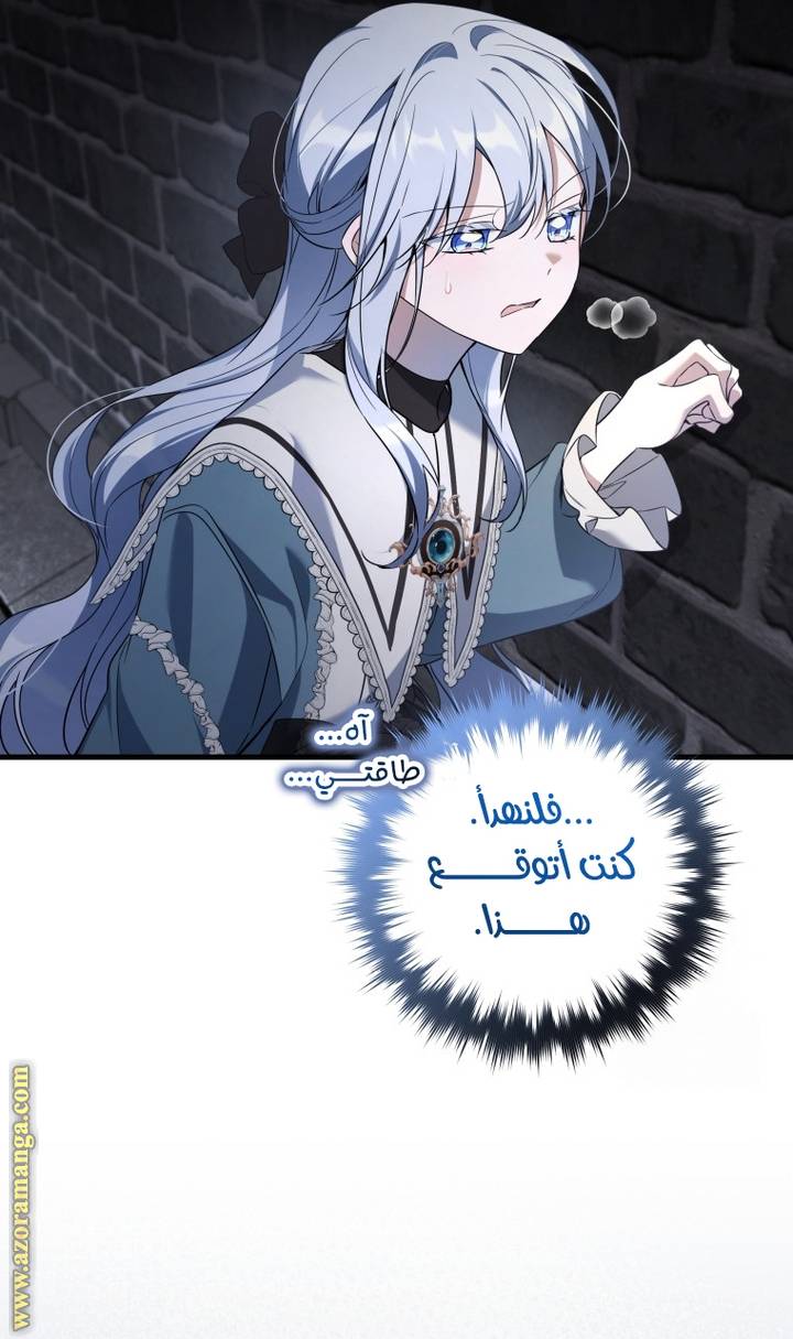 الصفحة 51