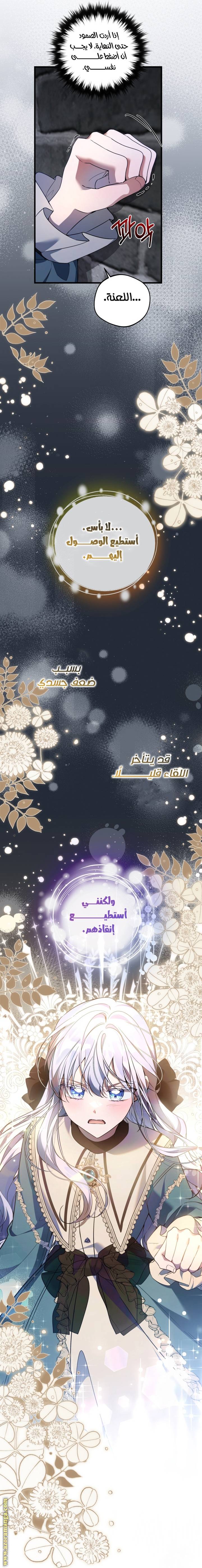 الصفحة 52