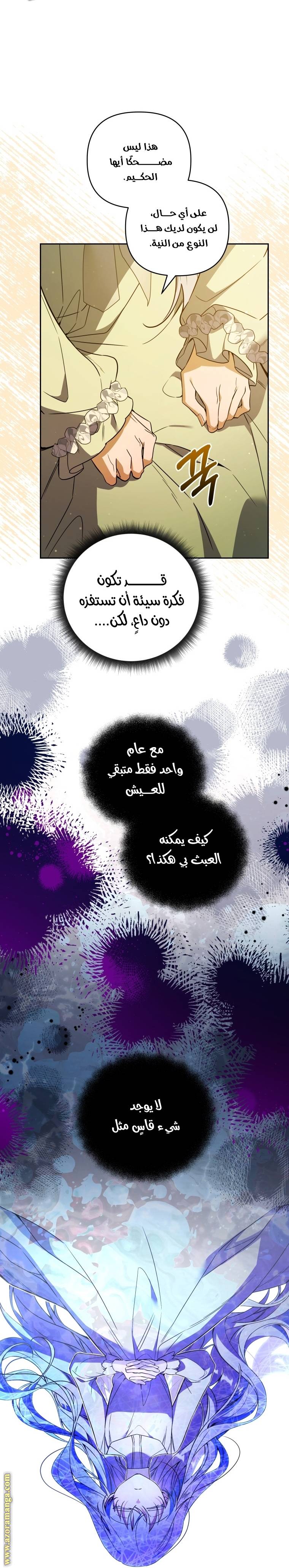 الصفحة 17