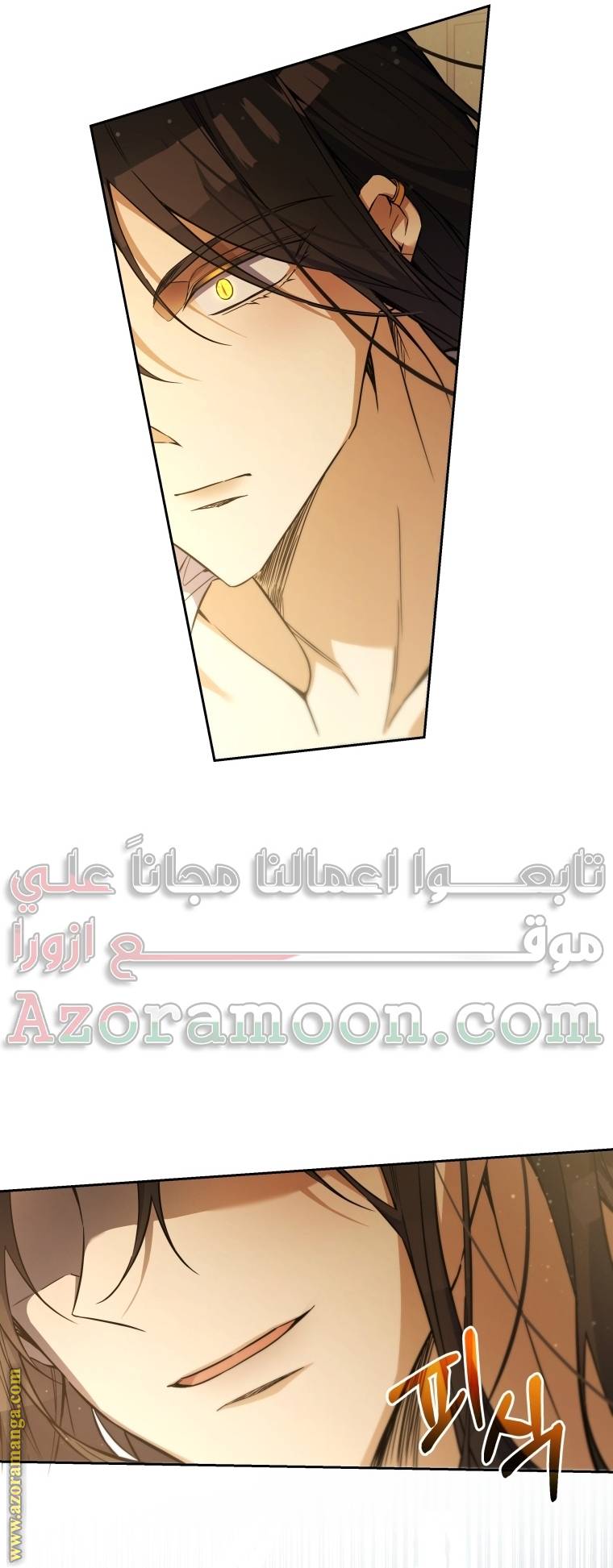 الصفحة 25