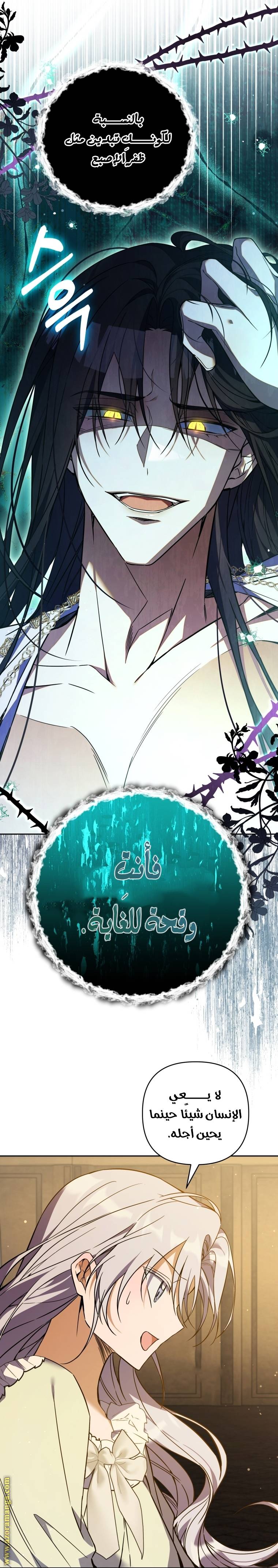 الصفحة 26
