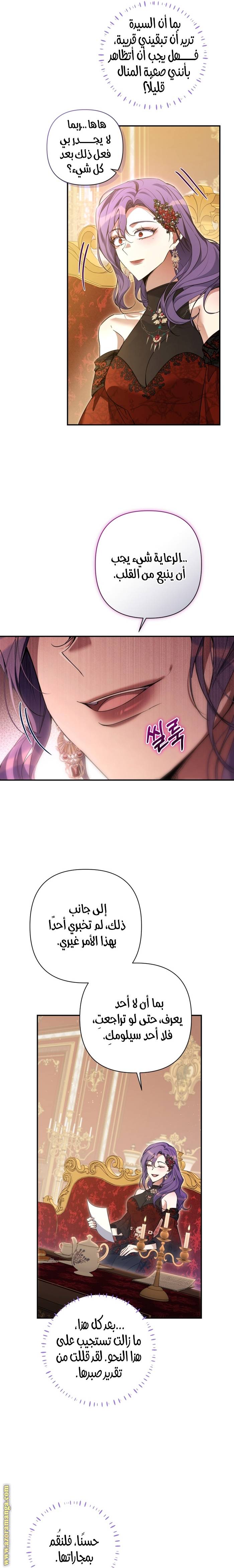 الصفحة 17