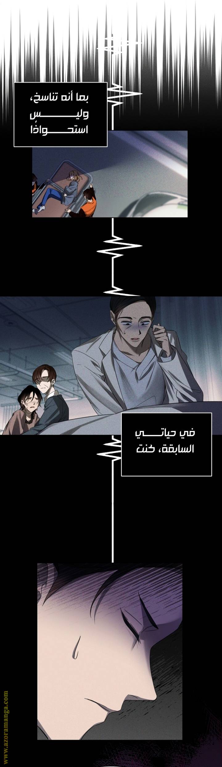 الصفحة 14