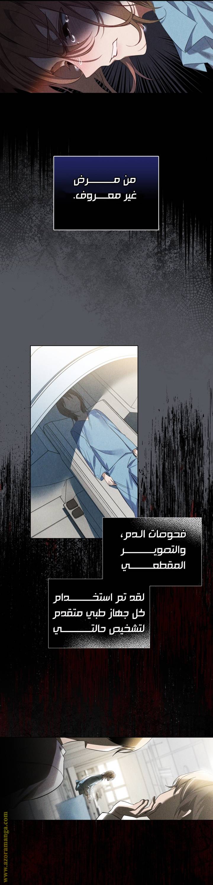 الصفحة 16