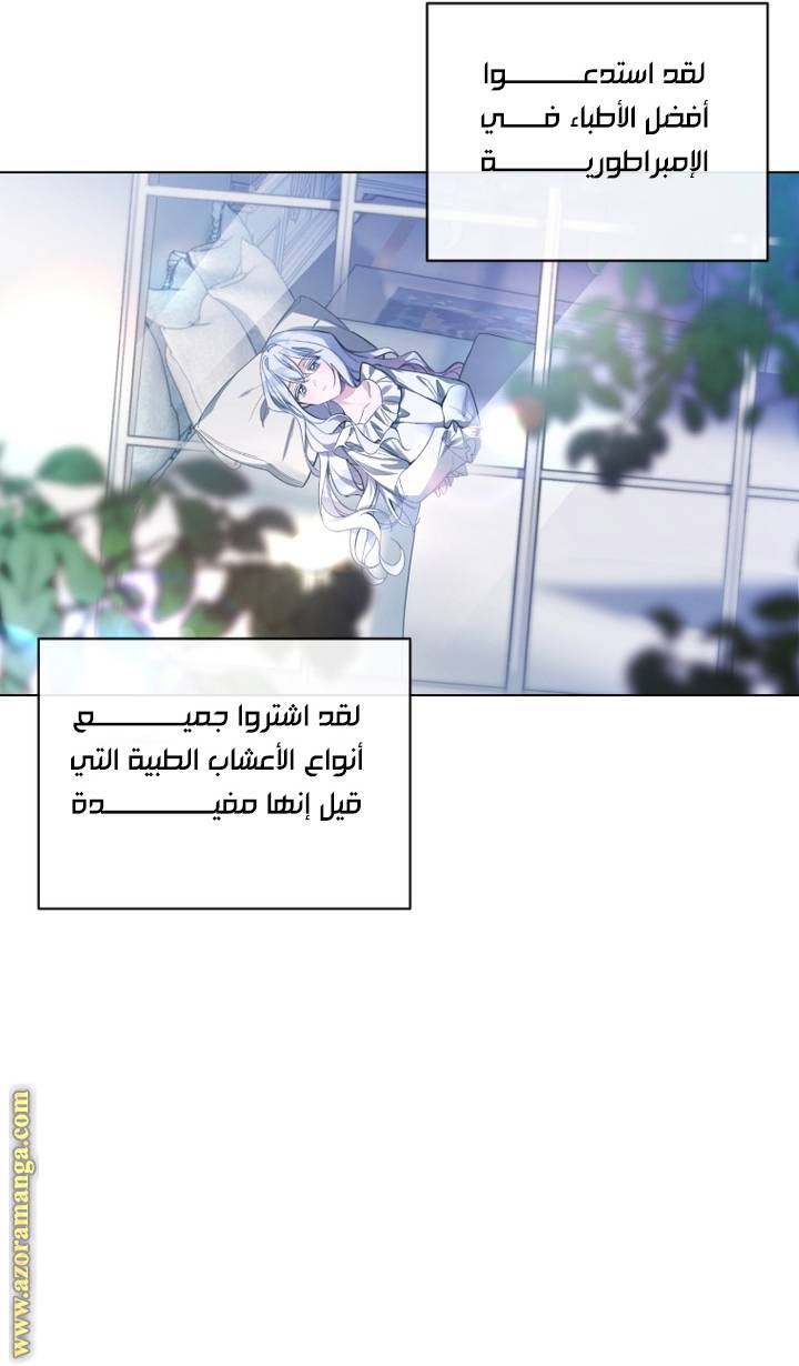 الصفحة 27