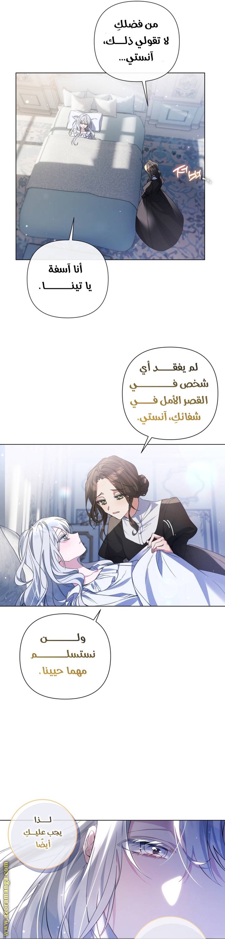 الصفحة 29