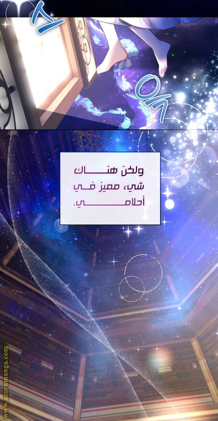 الصفحة 33
