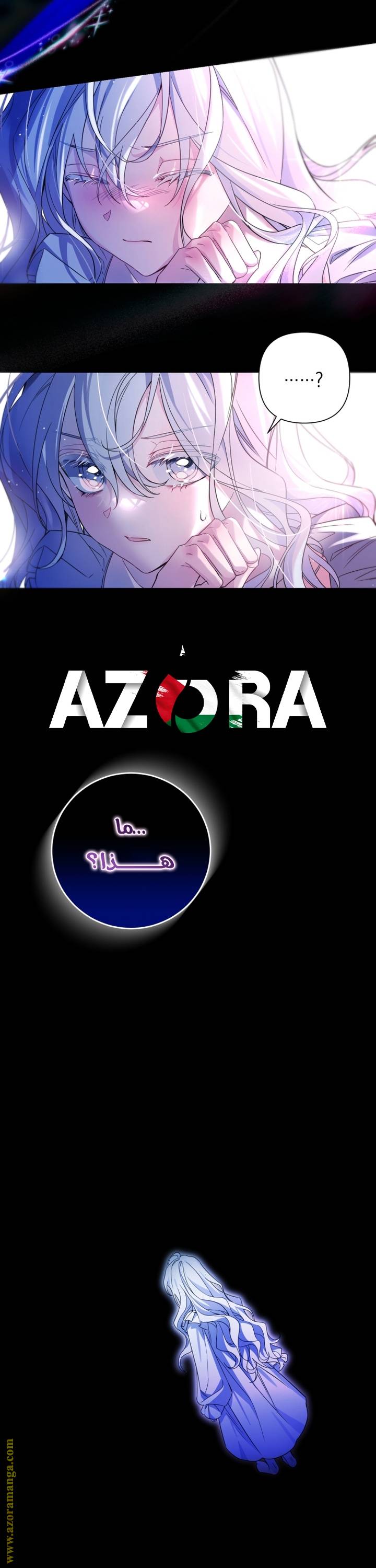 الصفحة 43