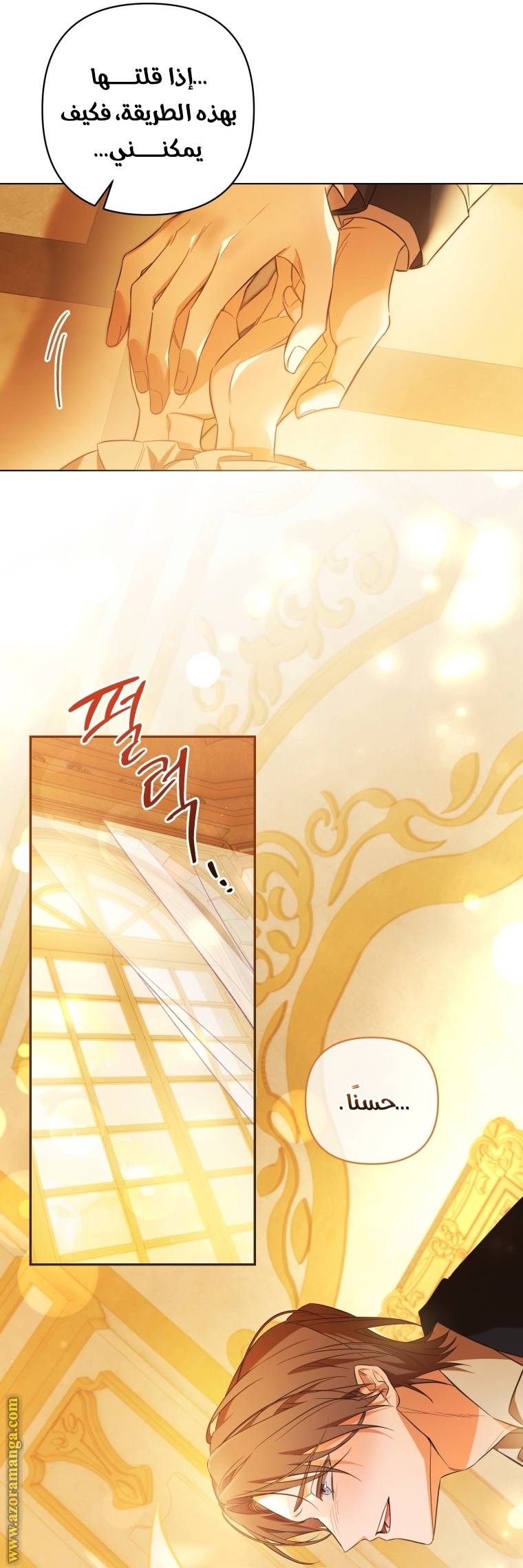 الصفحة 17