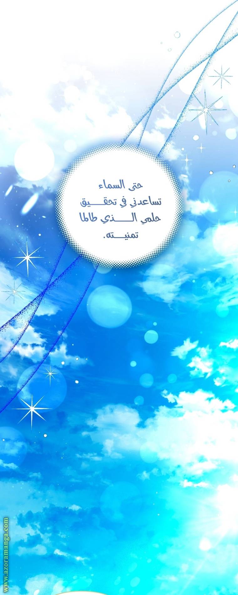 الصفحة 29