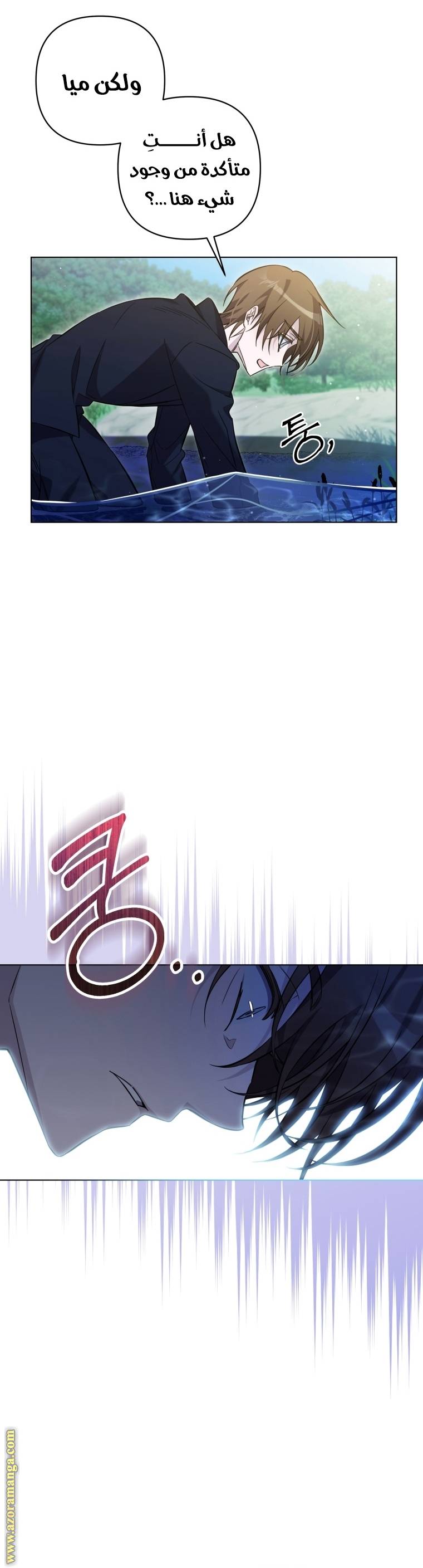 الصفحة 45