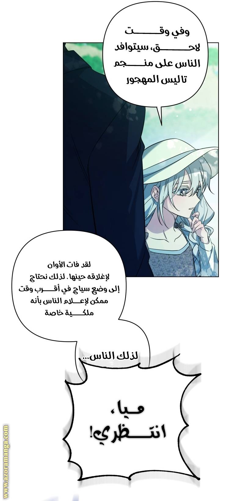 الصفحة 53