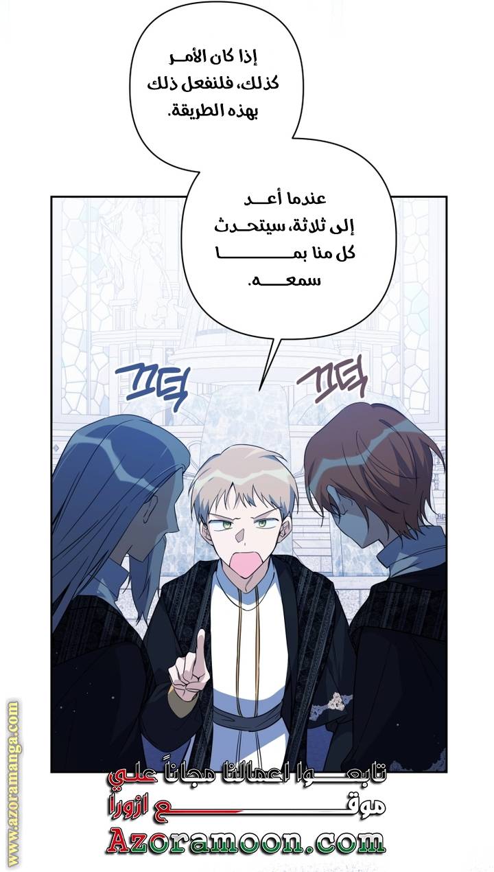 الصفحة 17