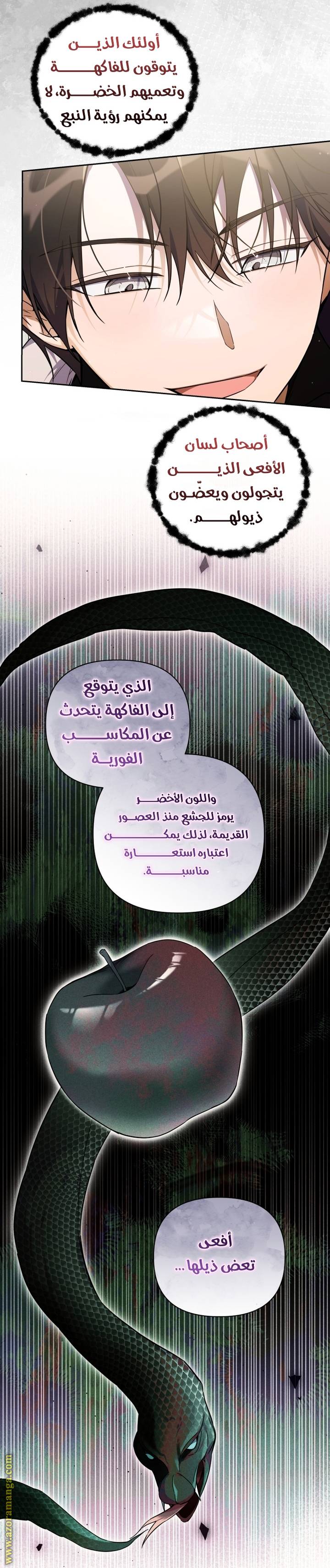 الصفحة 26