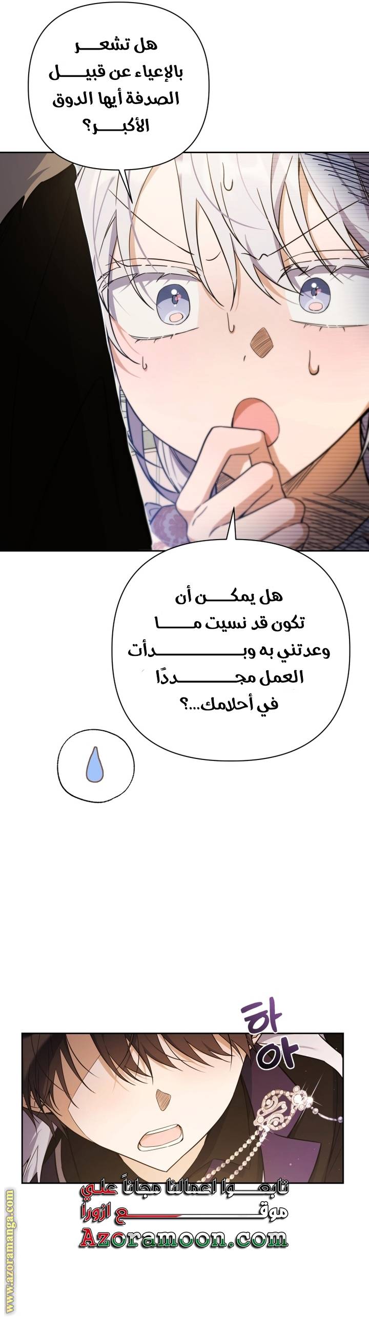 الصفحة 33