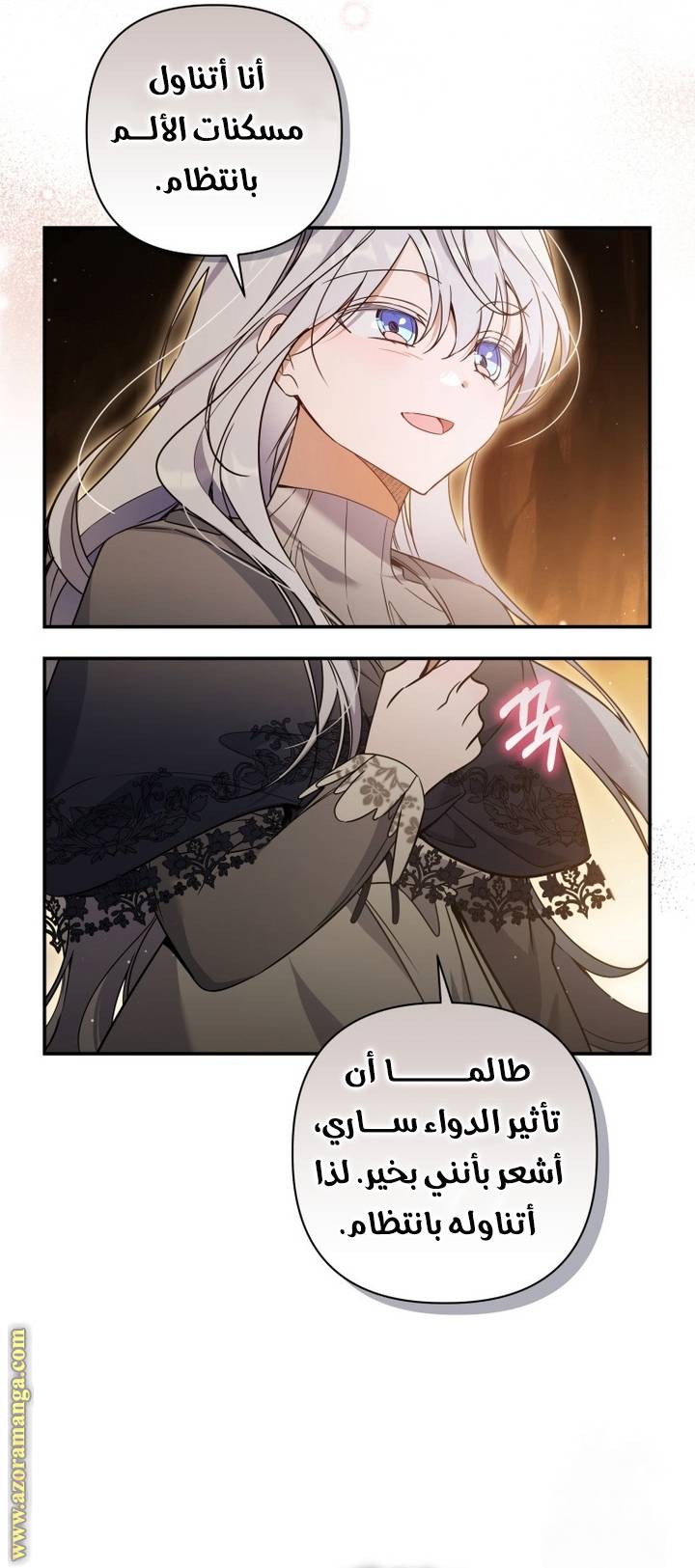 الصفحة 31