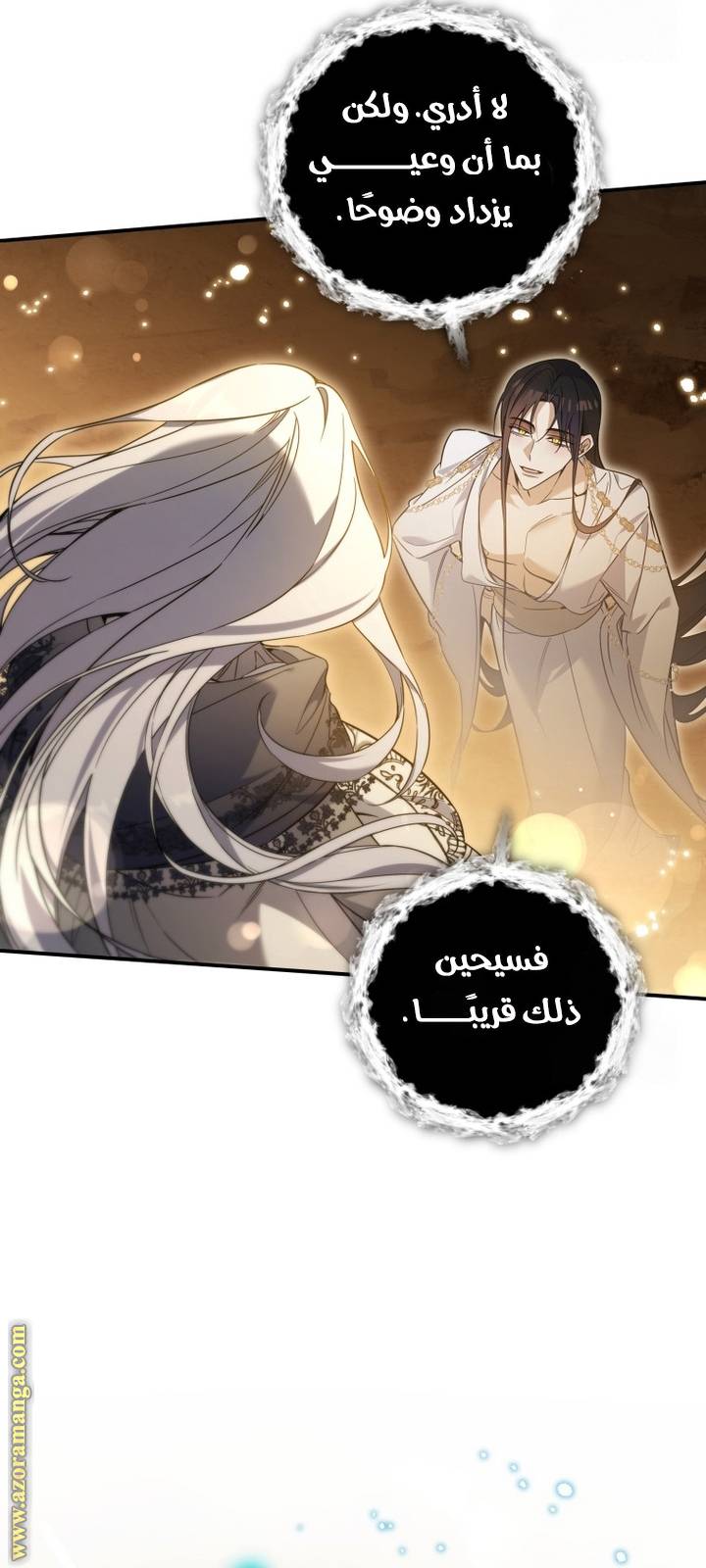 الصفحة 46