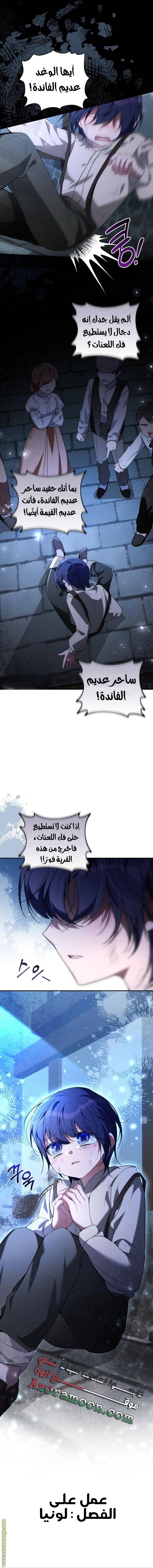 الصفحة 17