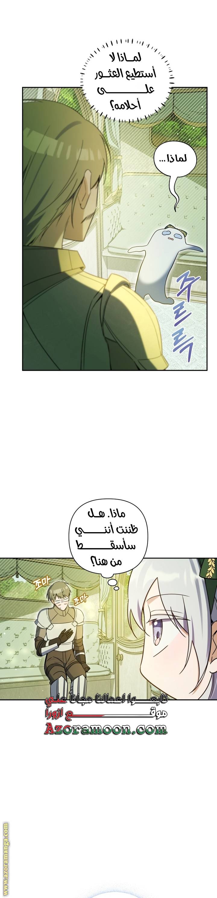 الصفحة 17