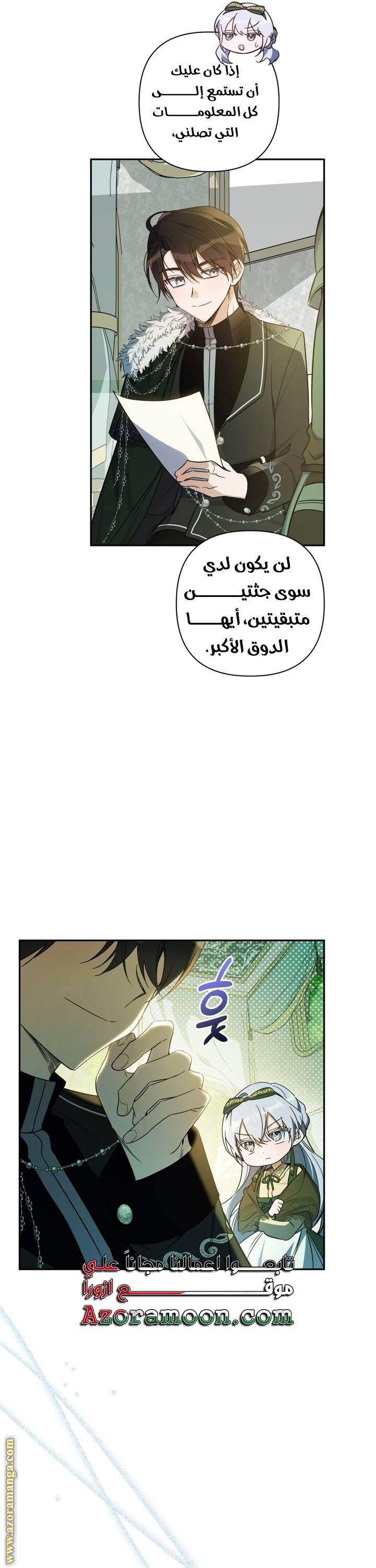 الصفحة 27