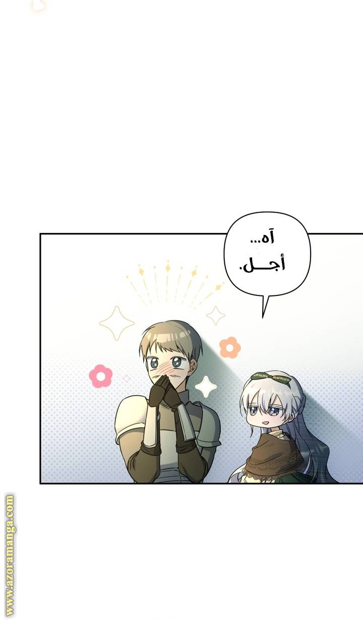 الصفحة 29