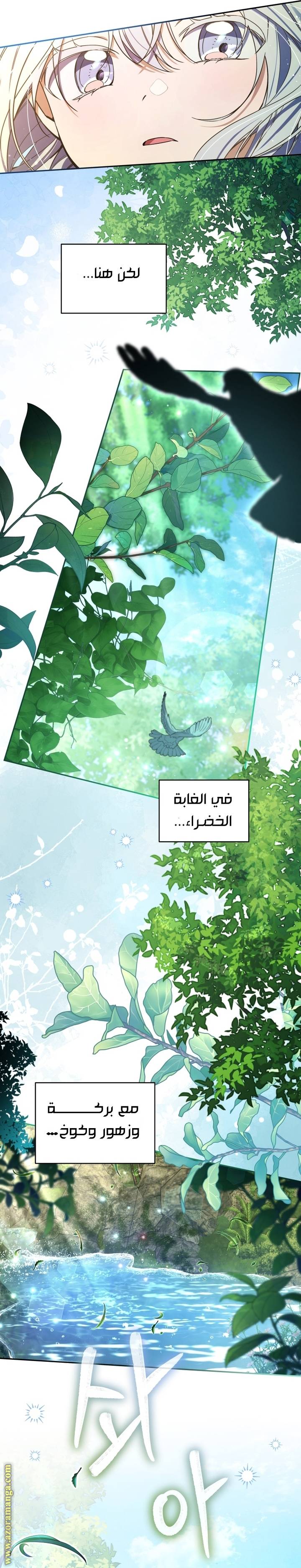 الصفحة 42