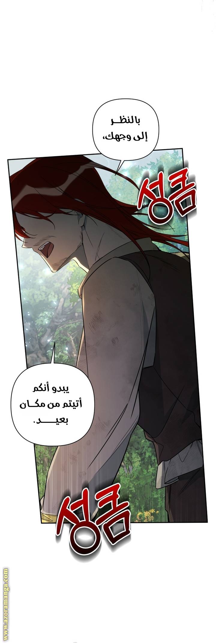الصفحة 45
