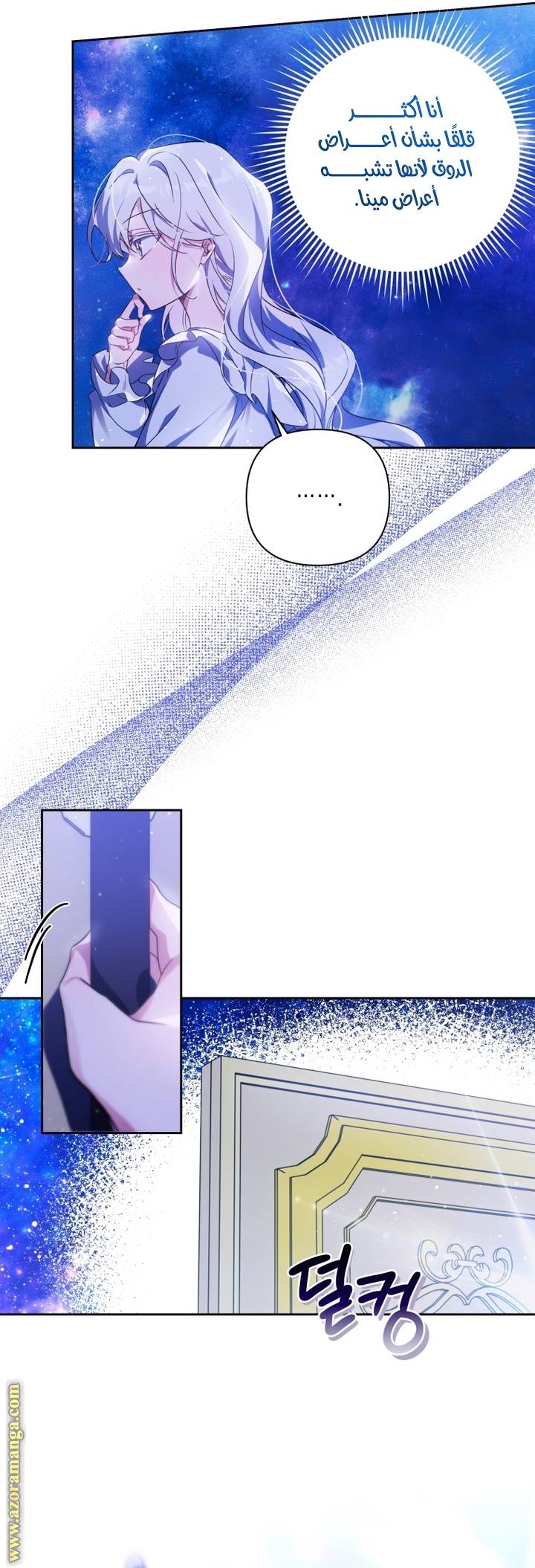الصفحة 17