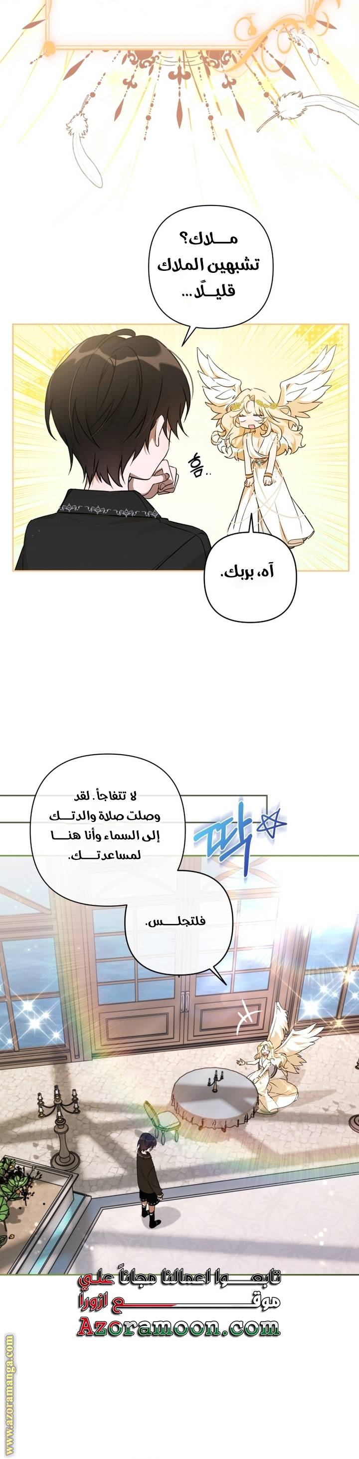 الصفحة 25